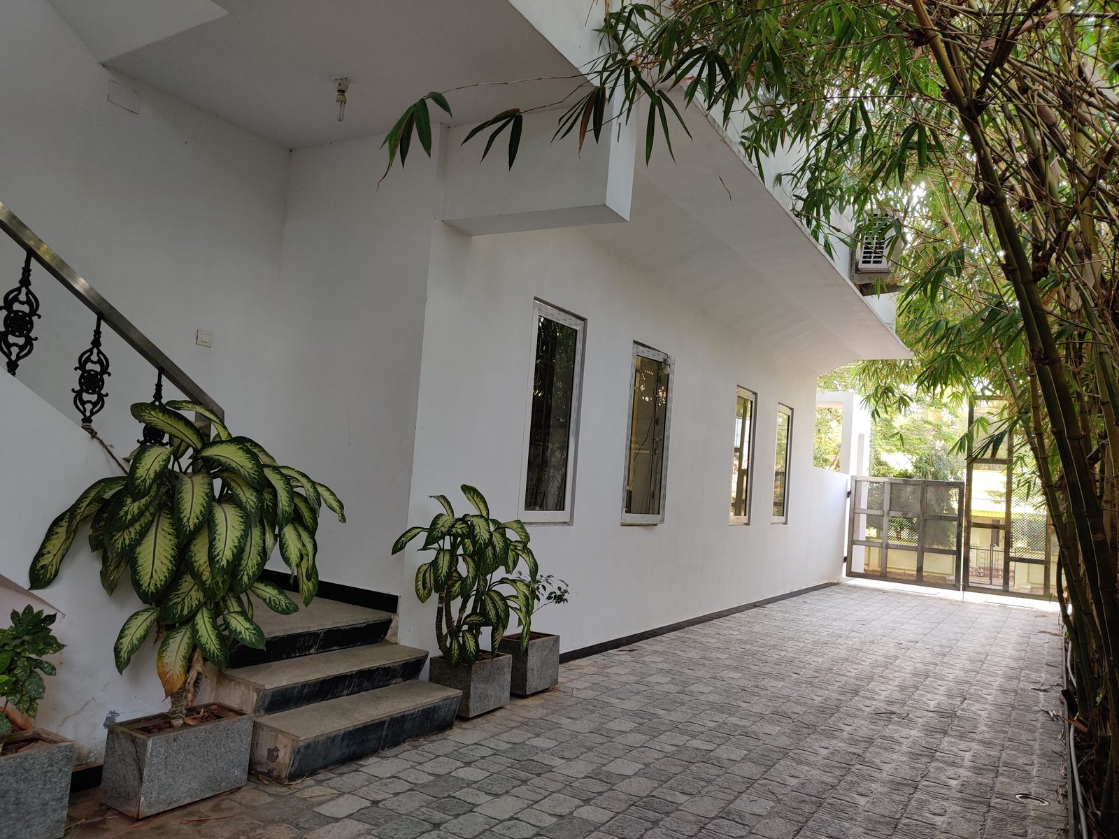 Naren's Bahuleya view 2