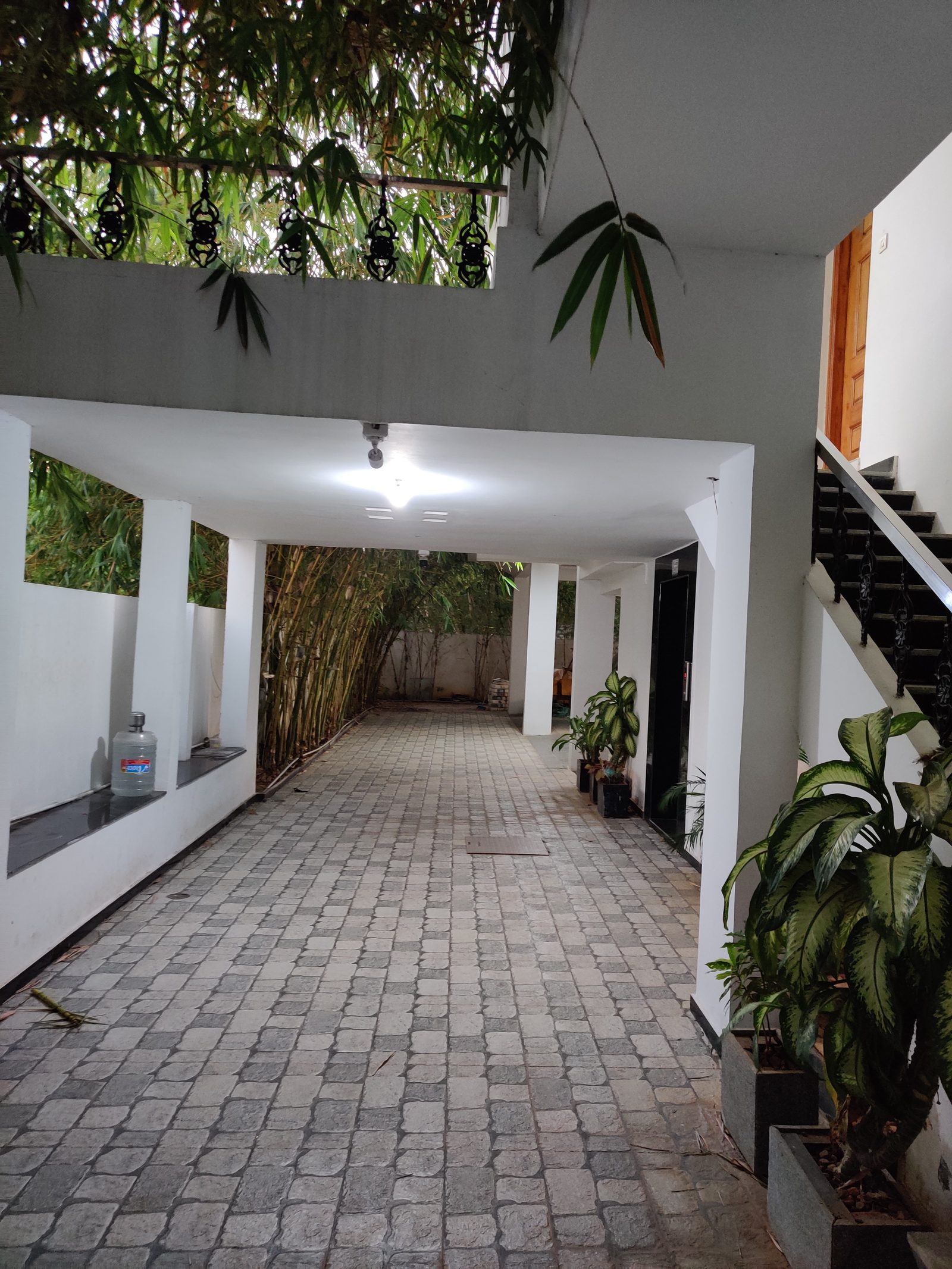 Naren's Bahuleya view 3