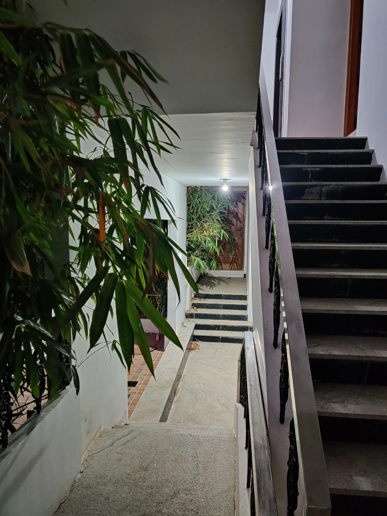 Naren's Bahuleya view 4