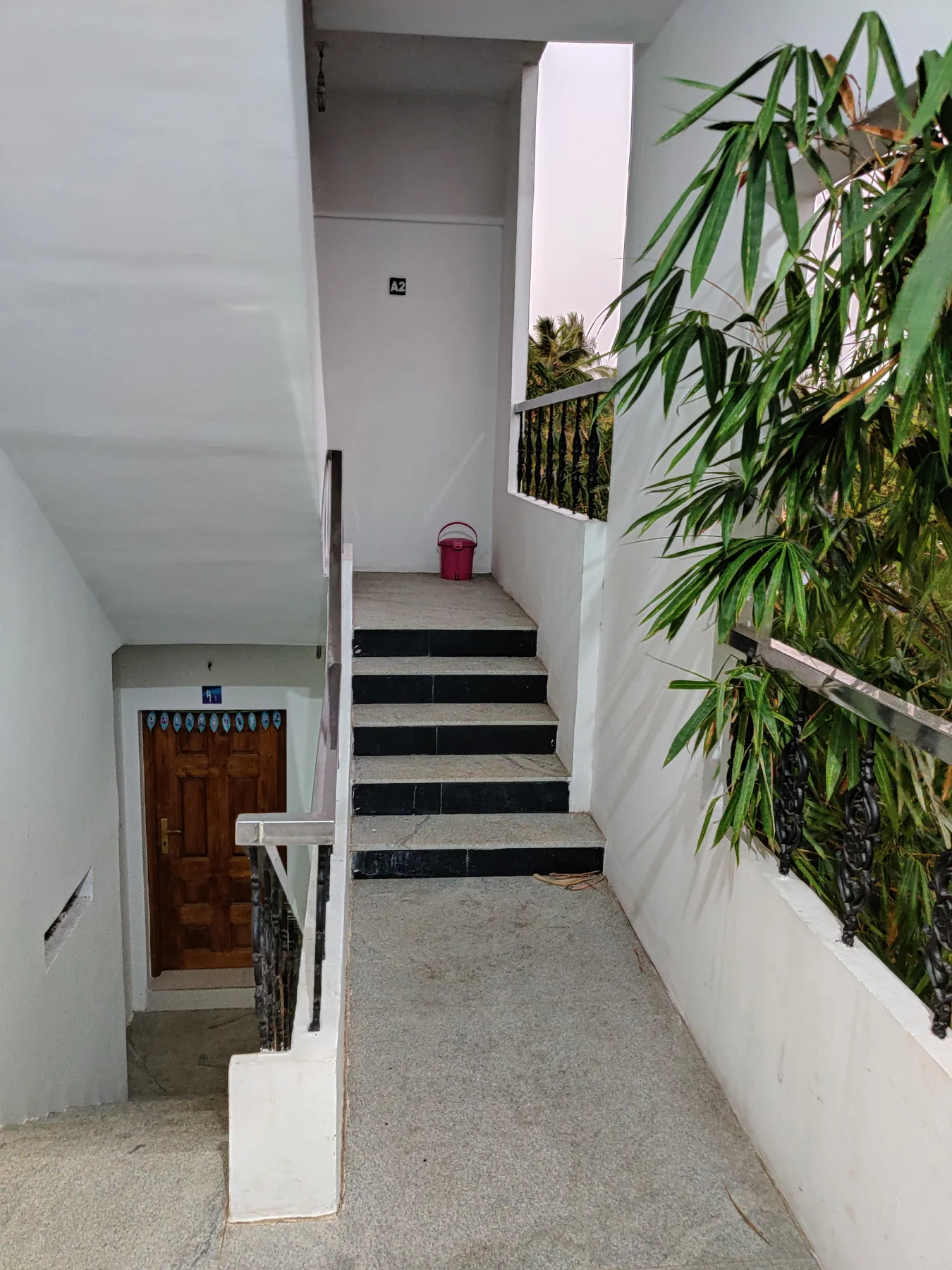 Naren's Bahuleya view 5